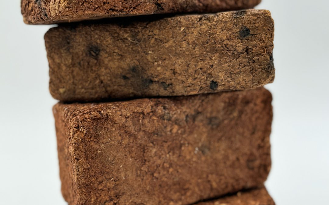 Bioma-Brick